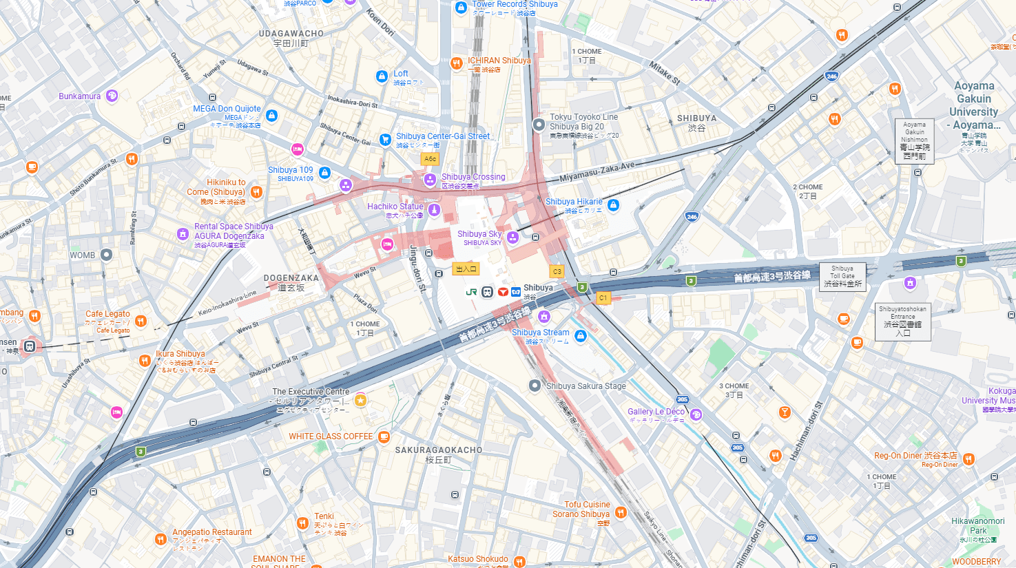 Google Maps rental spaces in Japan